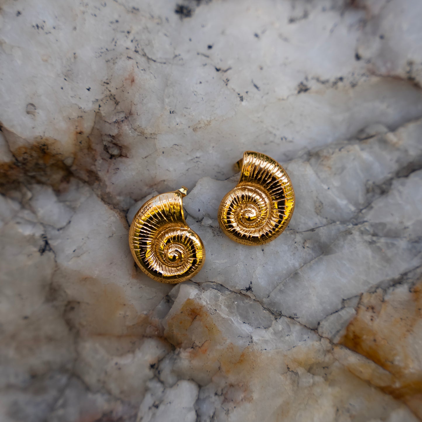 Moana Shell Earring