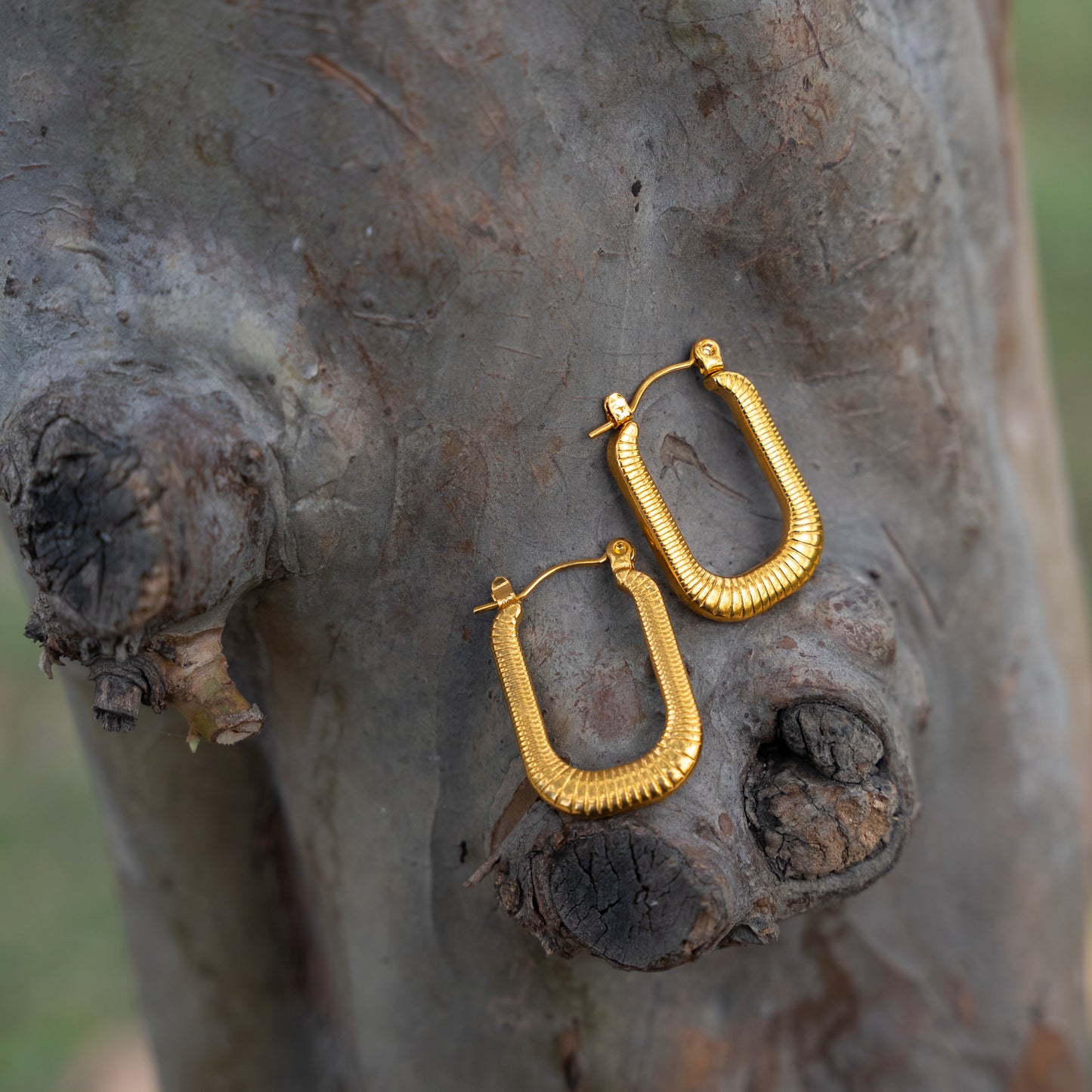 Serrated Hoops