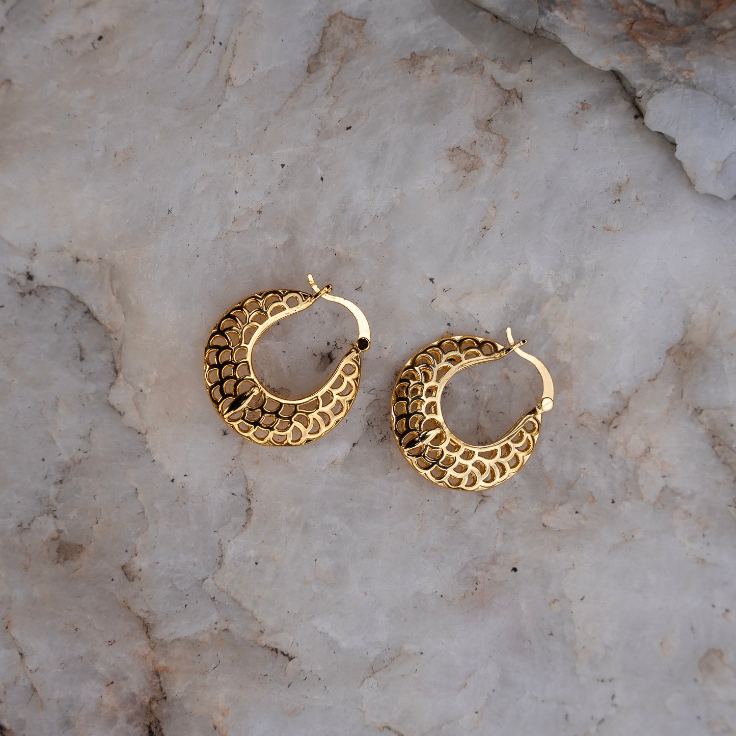 Circular Mesh Hoop