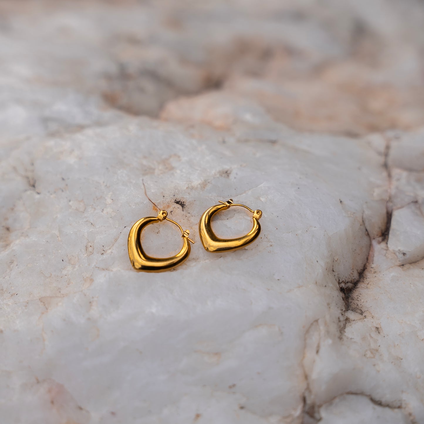 Felicity Hoop Earring