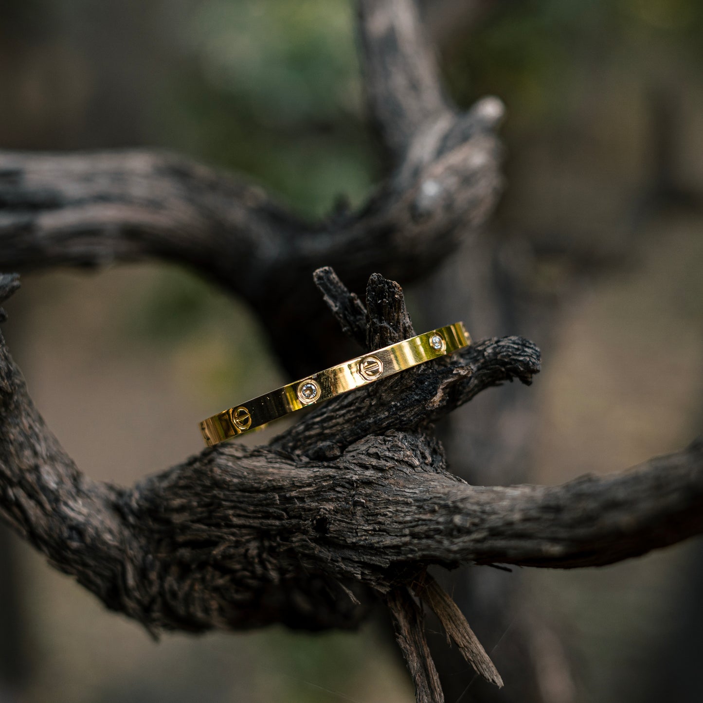 Cartier Kada