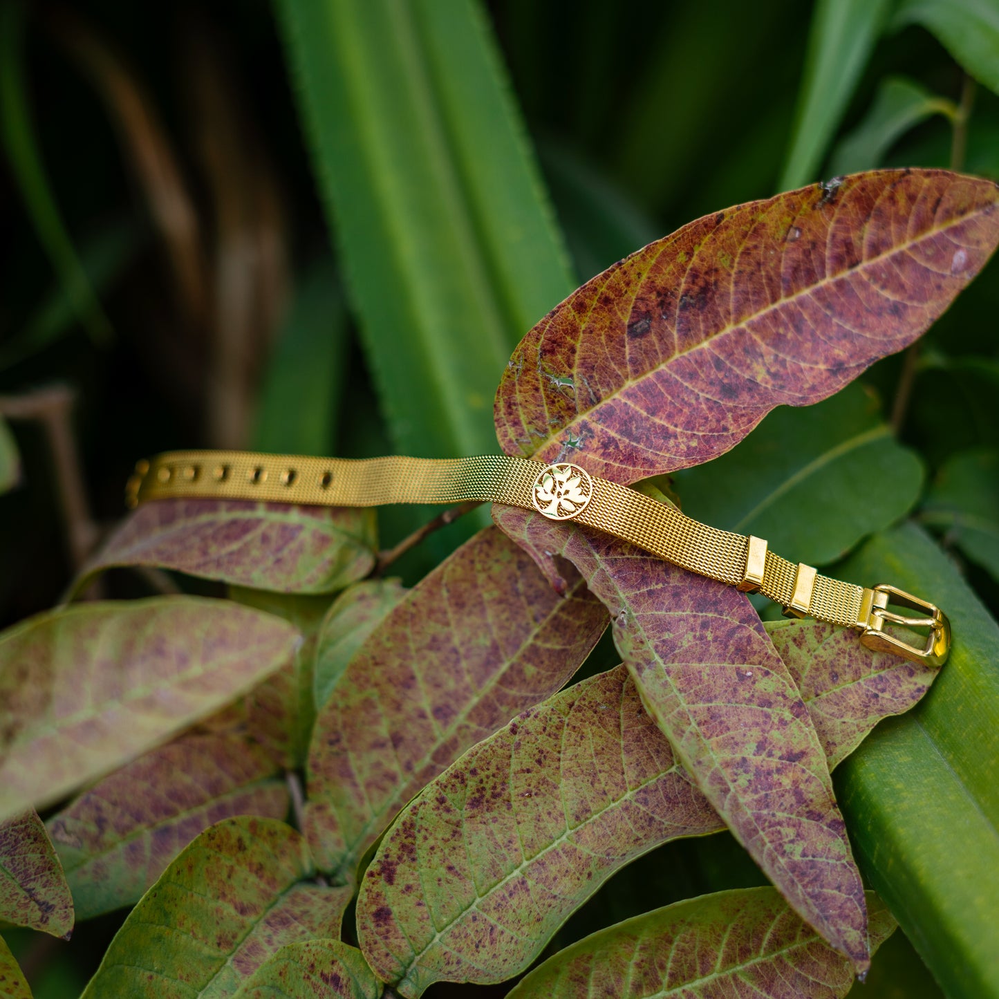 18K Gold-Plated Anti-Tarnish Bracelet