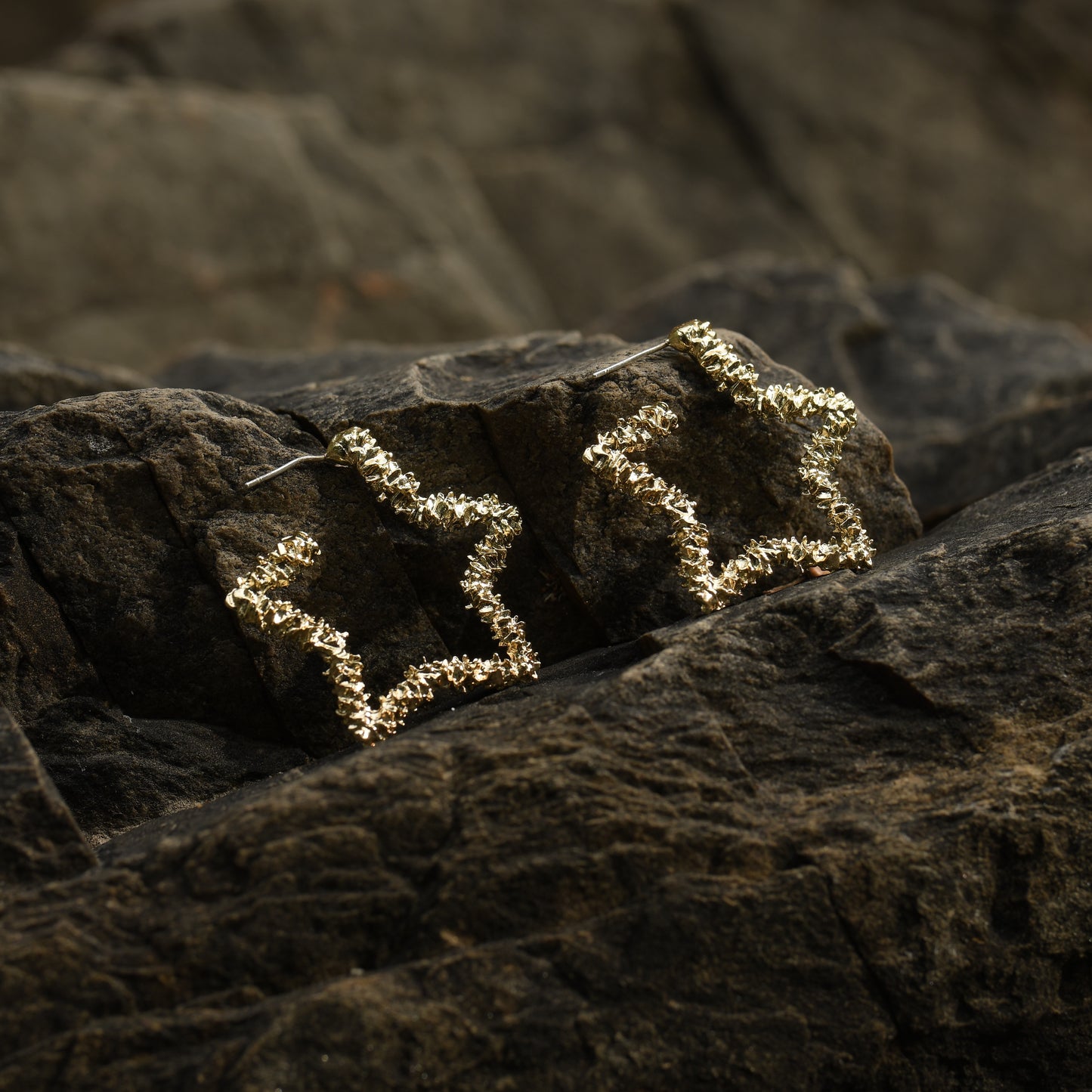 18K Gold Plated Star Shine Earring
