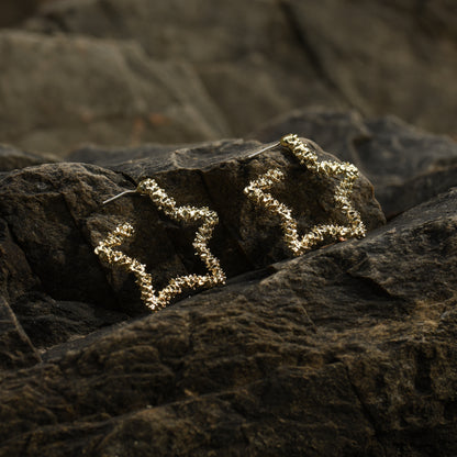 18K Gold Plated Star Shine Earring